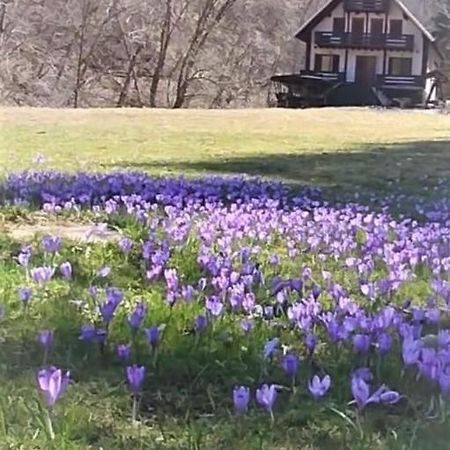 Casa De Vacanta Satic Piatra Craiului La Doi Viermi Exteriör bild