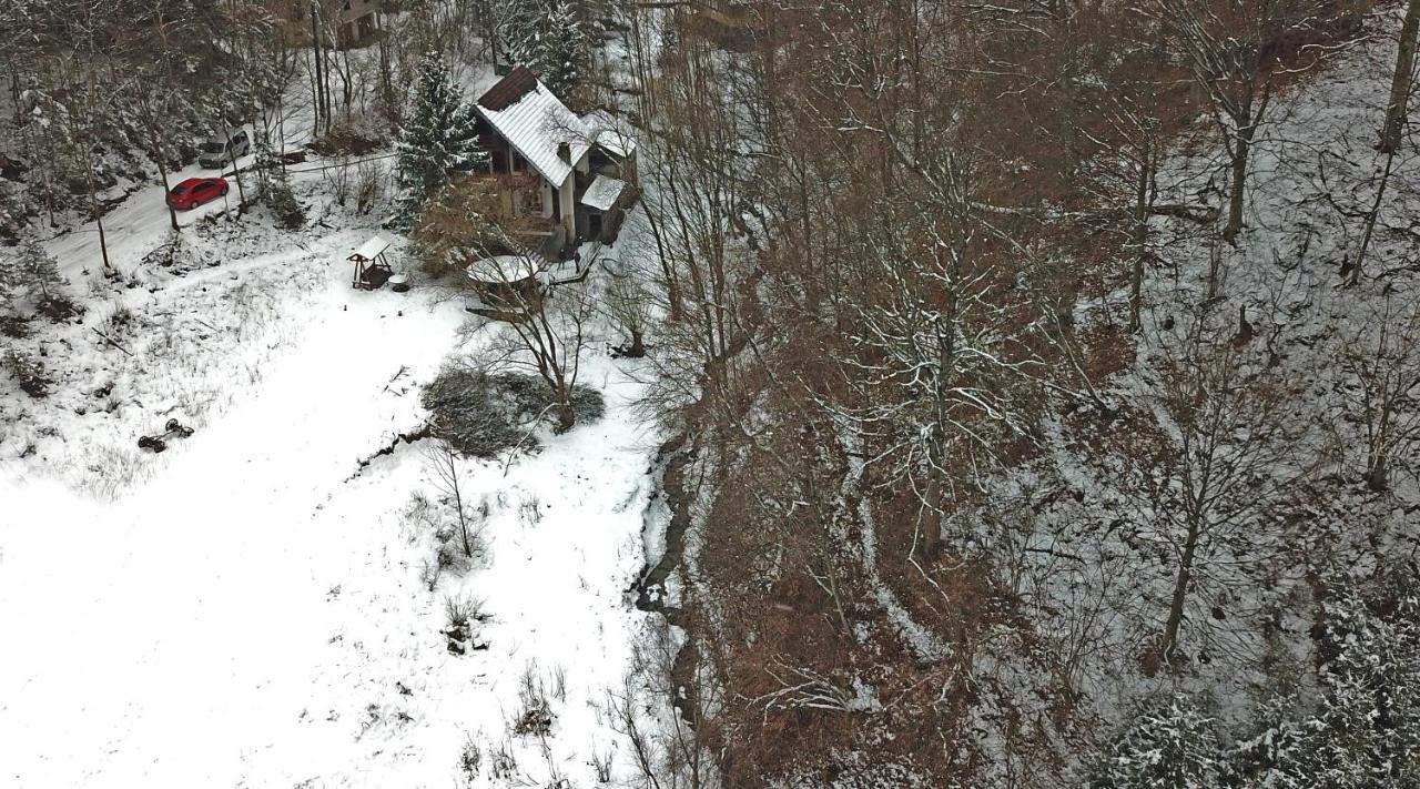 Casa De Vacanta Satic Piatra Craiului La Doi Viermi Exteriör bild