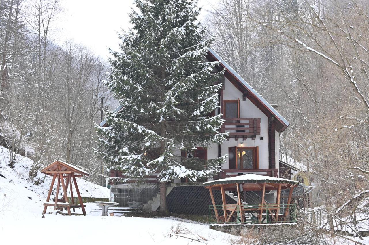 Casa De Vacanta Satic Piatra Craiului La Doi Viermi Exteriör bild