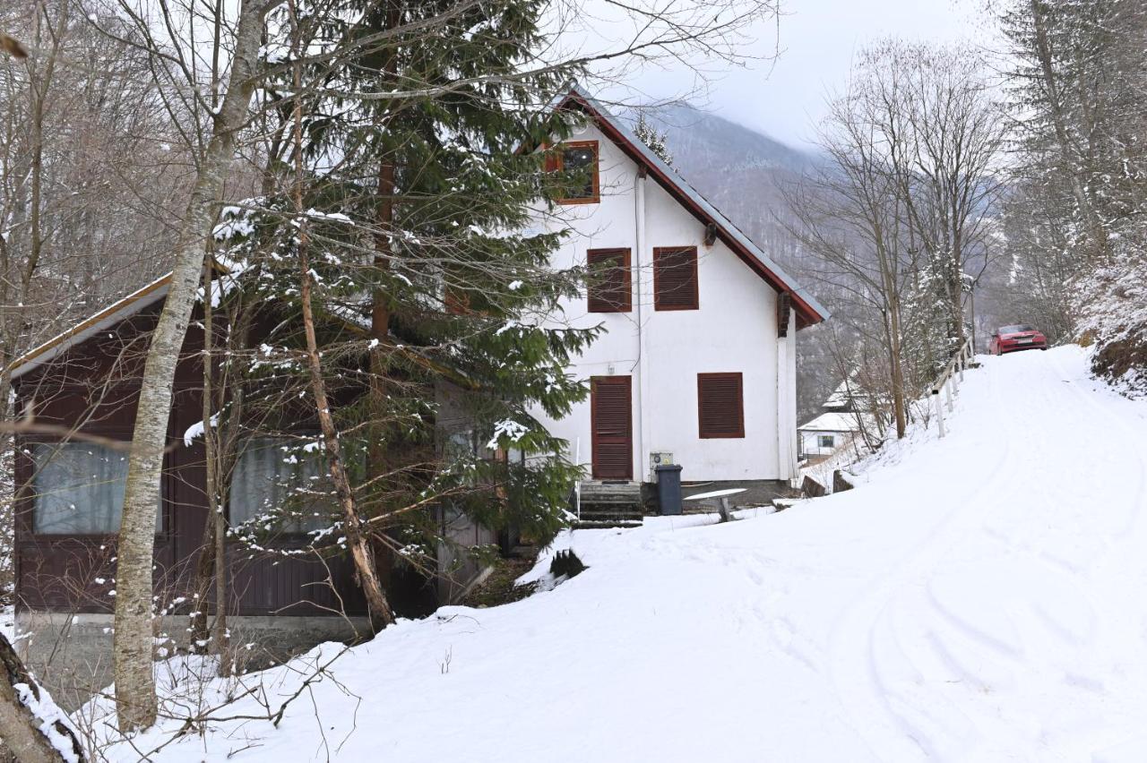 Casa De Vacanta Satic Piatra Craiului La Doi Viermi Exteriör bild