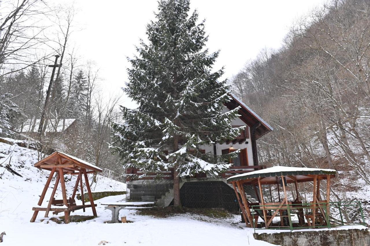 Casa De Vacanta Satic Piatra Craiului La Doi Viermi Exteriör bild