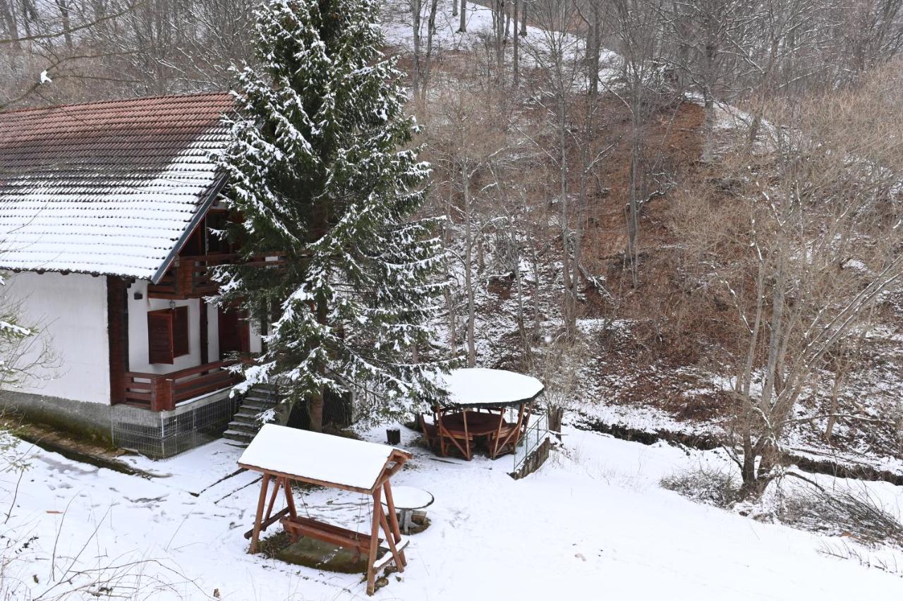 Casa De Vacanta Satic Piatra Craiului La Doi Viermi Exteriör bild