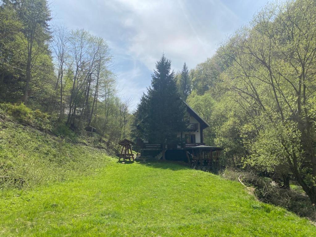 Casa De Vacanta Satic Piatra Craiului La Doi Viermi Exteriör bild