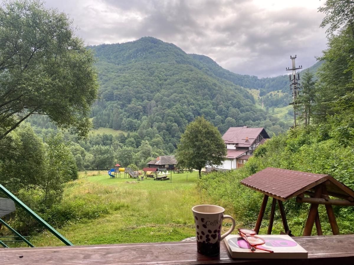 Casa De Vacanta Satic Piatra Craiului La Doi Viermi Exteriör bild