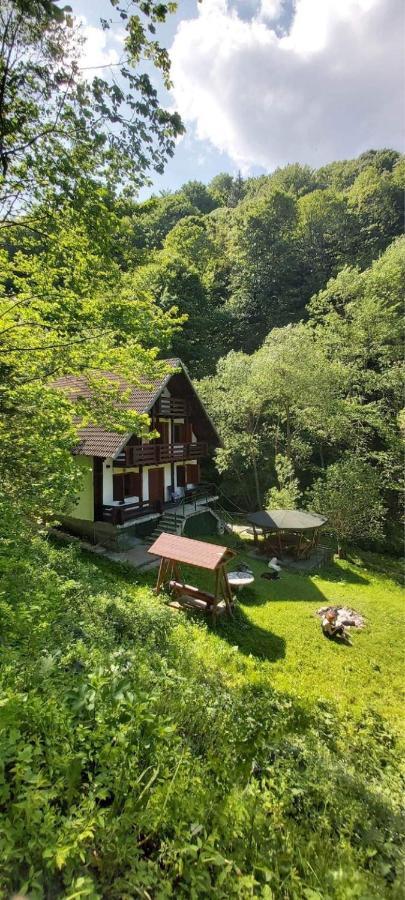 Casa De Vacanta Satic Piatra Craiului La Doi Viermi Exteriör bild