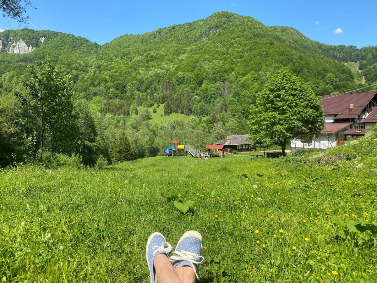 Casa De Vacanta Satic Piatra Craiului La Doi Viermi Exteriör bild